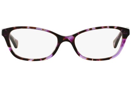 Brillen Ralph by Ralph Lauren RA7049 1135 Cat Eye Paars