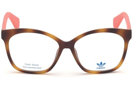 Brillen Adidas Originals OR5017 053 Cat Eye Havana