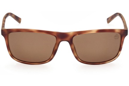 Zonnebril Timberland TB9266 52H Polarized Rechthoekige Havana