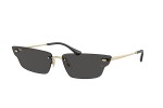 Zonnebril Ray-Ban RB3731 921387 Special Goud