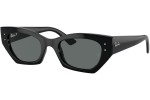 Ray-Ban RB4430 667781 Polarized