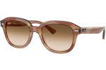 Zonnebril Ray-Ban Erik RB4398 140351 Vierkant Bruin