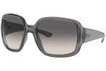 Zonnebril Ray-Ban Powderhorn RB4347 653011 Vierkant Grijs